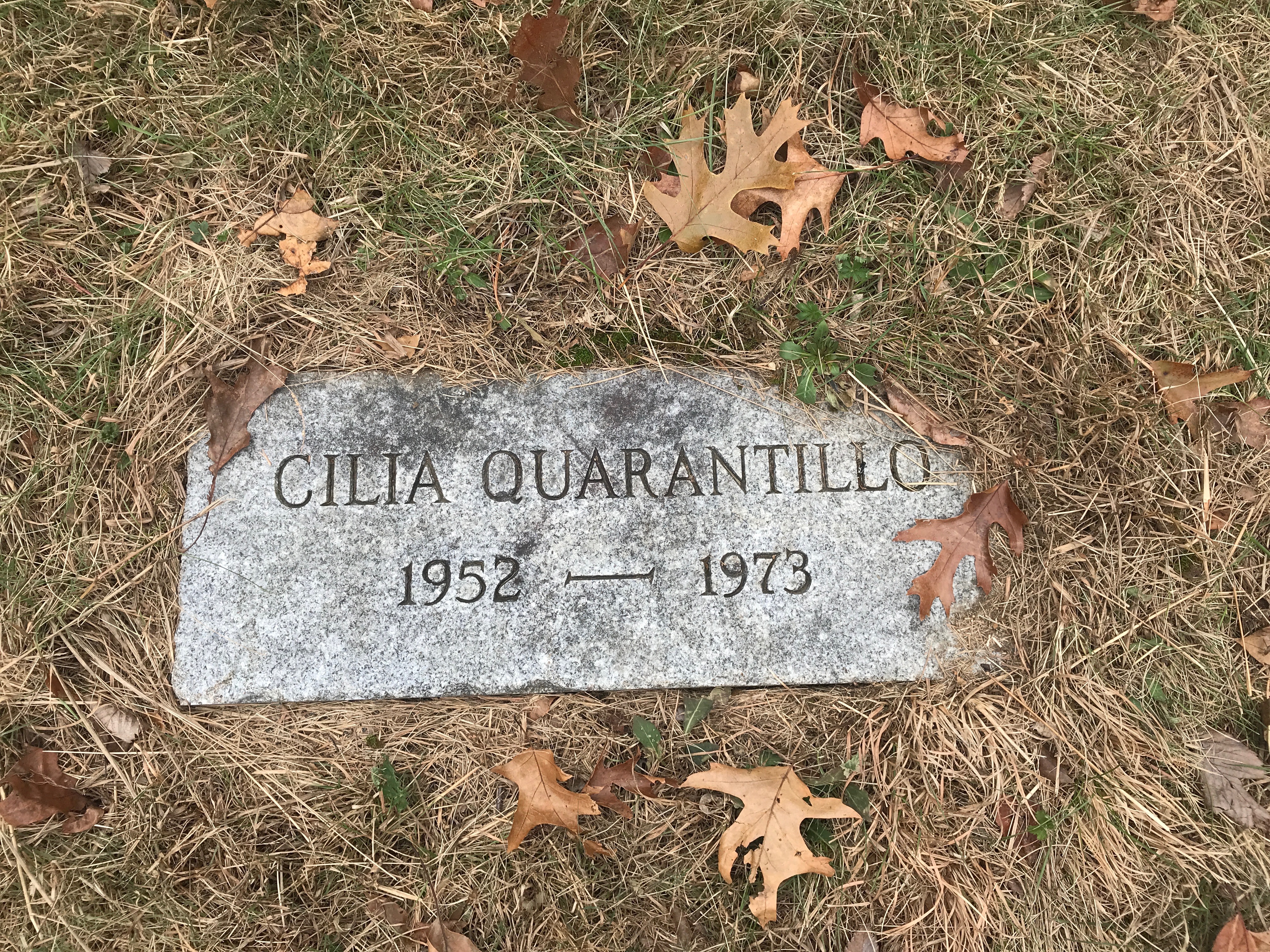 Celia's grave stone in the MetFern Cemetery.